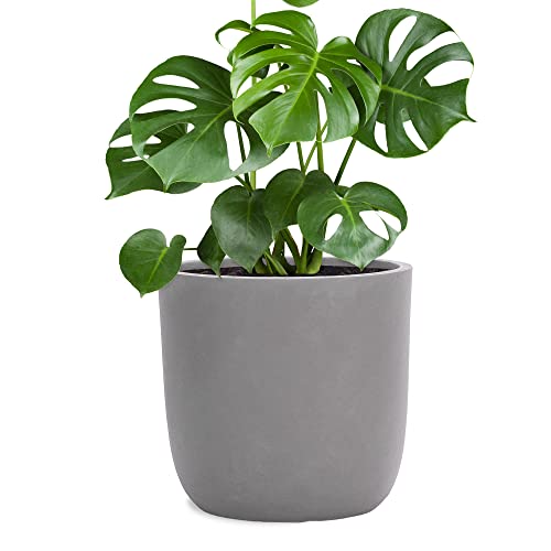 Pflanzwerk® Pflanzkübel Cup - Blumentöpfe Übertöpfe 51cm Ø GRAU *Frostbeständige Blumenkübel* *UV-Schutz* *Pflanzenkübel Premiumqualität* von Pflanzwerk