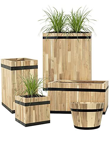 Pflanzwerk® Pflanzkübel Cup Holz Ø55cm 100% Bio-AKAZIENHOLZ Weinfass Holzfass *Frostbeständiger Blumenkübel* *Bio Pflanzenkübel* *Nachhaltige Qualitätsware* von Pflanzwerk