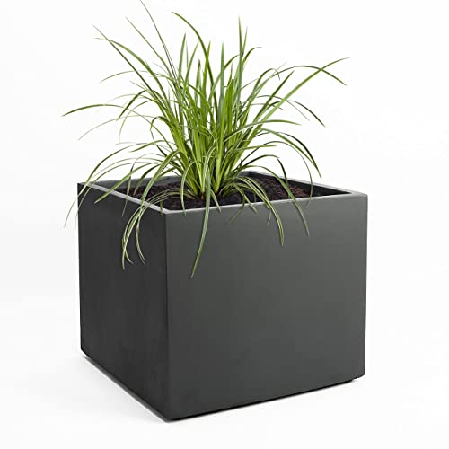 Pflanzwerk® Pflanzkübel Fiberglas XXL Cube Anthrazit 53x65x65cm *Frostbeständiger Blumenkübel* *UV-Schutz* *Qualitätsware* von Pflanzwerk