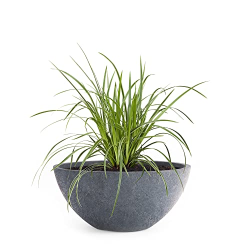 Pflanzwerk® Pflanzkübel Pflanzschale Bowl Ø 45cm Lava Anthrazit *Frostbeständige Blumenschale* *Premiumqualität* *Lotus-Effekt Imprägnierung* von Pflanzwerk
