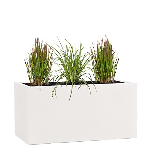 Pflanzwerk® Pflanzkübel TUB Sand 30x60x30cm XXL – Rechteckig – Großer Fiberglas Blumenkübel für außen und innen - Frostbeständig - UV-Schutz - Markenqualität von Pflanzwerk