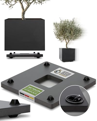 Pflanzwerk Pflanzkübel Untersetzer - Ultraflacher Designer Pflanzenroller - 28 cm x 28cm - Eckig und rund für alle Blumentöpfe & Blumenkübel - Indoor & Outdoor Gefäßroller - 2 Jahre Garantie von Pflanzwerk