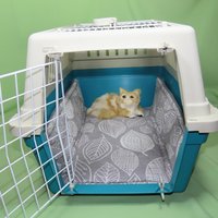 Transportbox-Kissen, Kissen Für Transportboxen, Matte Katzentransportbox, Matratze, Aus Baumwolle Und Fleece, Mit Extra Rand von Pfoetchenstube