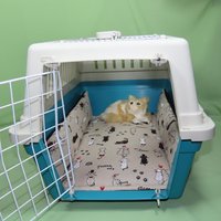 Transportbox-Kissen, Kissen Für Transportboxen, Matte Katzentransportbox, Matratze, Aus Baumwolle Und Fleece, Mit Extra Rand von Pfoetchenstube