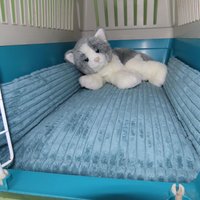 Transportbox-Kissen, Kissen Für Transportboxen, Matte, Matratze, Aus Fleece, Möbelstoffen Und Baumwolle, Mit Extra Rand von Pfoetchenstube