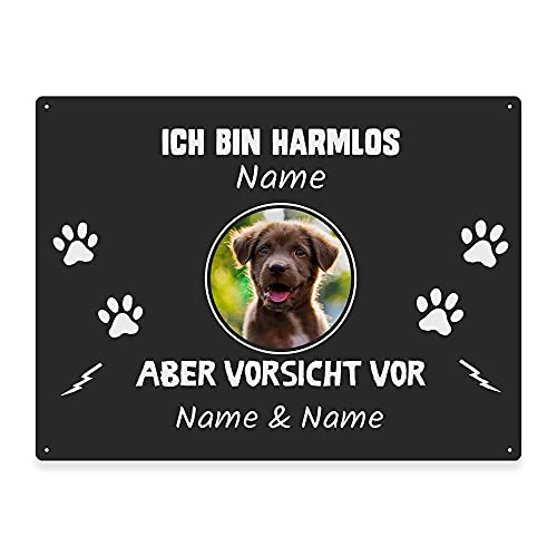 Hunde Schild personalisiert - Ich bin harmlos, aber Vorsicht vor - Metallschild mit Foto und Name für außen, wetterfestes Türschild für Hundebesitzer - DIN A5-21 x 15 cm, ein Tier, anthrazit von PfotenSchild