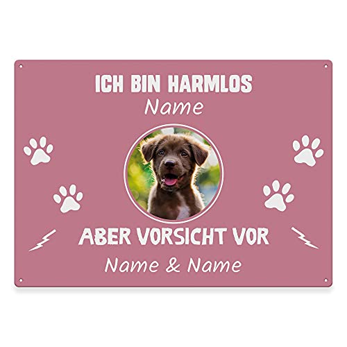 Hunde Schild personalisiert - Ich bin harmlos, aber Vorsicht vor - Metallschild mit Foto und Name für außen, wetterfestes Türschild für Hundebesitzer - ca. DIN A4-28 x 20 cm, ein Tier, rosa von PfotenSchild