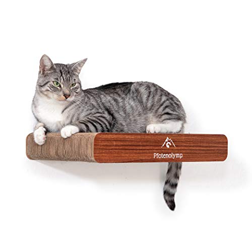 Pfotenolymp® Wandkratzbrett/Kratzbrett/Kratzmatte Katze – Wandliege mit Wandbefestigung- Kratzpappe/Katzenkratzbrett/Wandbrett 44 x 29 cm von Pfotenolymp