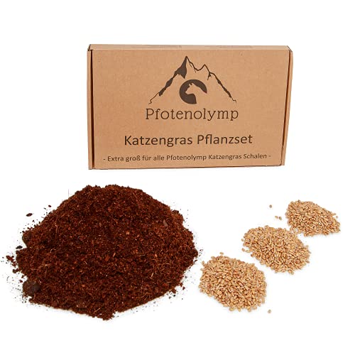 Pfotenolymp® XXL Katzengras Nachpflanzset - Weizengras Samen und Erde - passend für Katzengrasschale aus Porzellan und Bambus - cat Gras/Topf Set - DIY von Pfotenolymp
