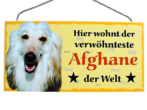 Hund Türschild Hier wohnt der verwöhnteste Afghane der Welt aus Holz Hundeschild Schild deutsche Herstellung von Pfronten