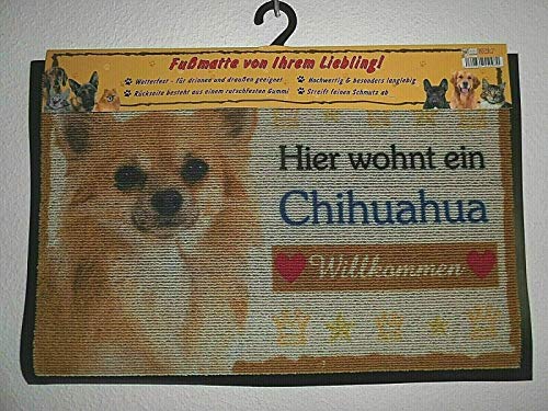 Pfronten Fußmatte Chihuahua (11), Fußabtreter, Türvorleger, Türmatte Hund wetterfest von Pfronten