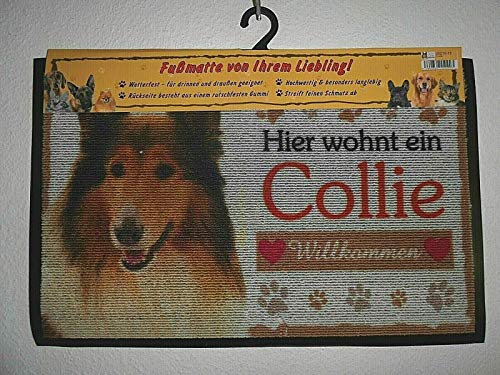 Pfronten Fußmatte Collie (13), Fußabtreter, Türvorleger, Türmatte Hund wetterfest von Pfronten