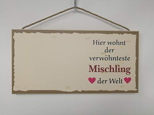 Pfronten Tierschild Schild Türschild Hier wohnt der verwöhnteste Mischling der Welt für Hundefoto Foto Hund Wandschild für Innenraum Pfronten Tierschild Schild Türschild Hier wohnt der verwöhnteste Mischling der Welt für Hundefoto Foto Hund Wandschild für Innenraum von Pfronten