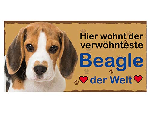 Türschild Beagle (5) aus Holz Schild Hund deutsche Herstellung von Pfrontenschmuck