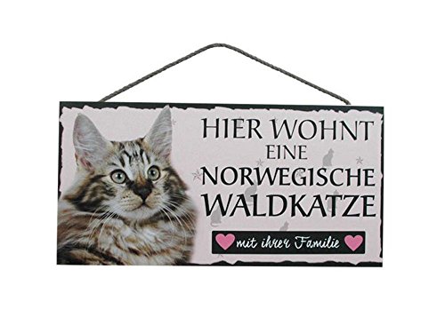 Türschild Norwegische Waldkatze (46) aus Holz Katze Schild deutsche Herstellung von Pfrontenschmuck