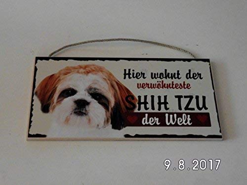 Türschild Shih Tzu (58) aus Holz Schild Hund deutsche Herstellung von Pfrontenschmuck