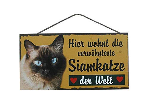 Türschild Siamkatze (59) aus Holz Katze Schild deutsche Herstellung von Pfrontenschmuck