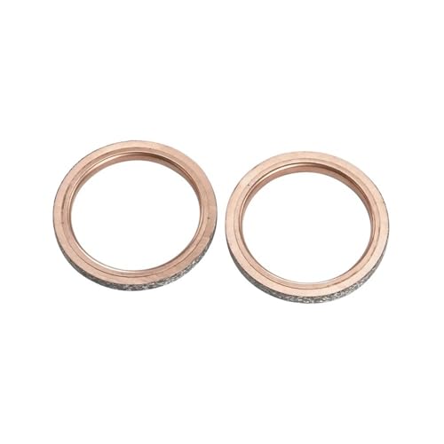 50MM Auspuffrohr Dichtung Fit for Ya YXR45F Rhino450 VMX1200 V-Max XVZ1200 BW350 XS650S SR500 TT500 XS650 XT500(2pcs) von PhGKBz