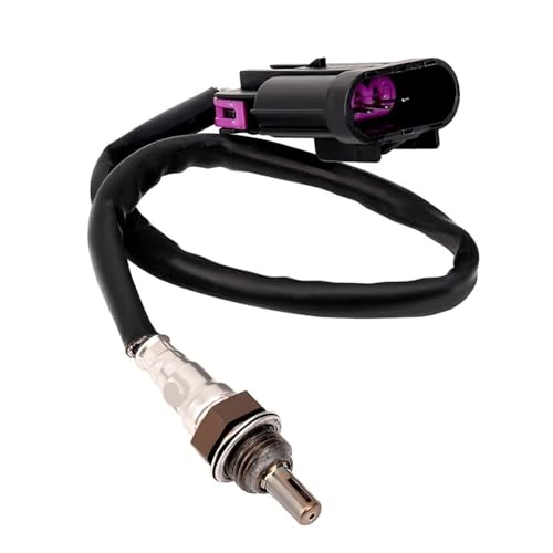 Sauerstoffsensorsonde O2-Sensor Passend for 4016021 4013979 von PhGKBz