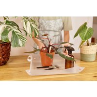 Klassik Pflanzenmatte Für Gartenpflanzen, Zimmerpflanzen | Tarp Topfmatte Pflanzenschale Pflanzen Tray Plant Mat| Übertopf| Garten Klassik Pflanzenmatte Für Gartenpflanzen, Zimmerpflanzen | Tarp Topfmatte Pflanzenschale Pflanzen Tray Plant Mat| Übertopf| Garten von PhamousPlantsShop