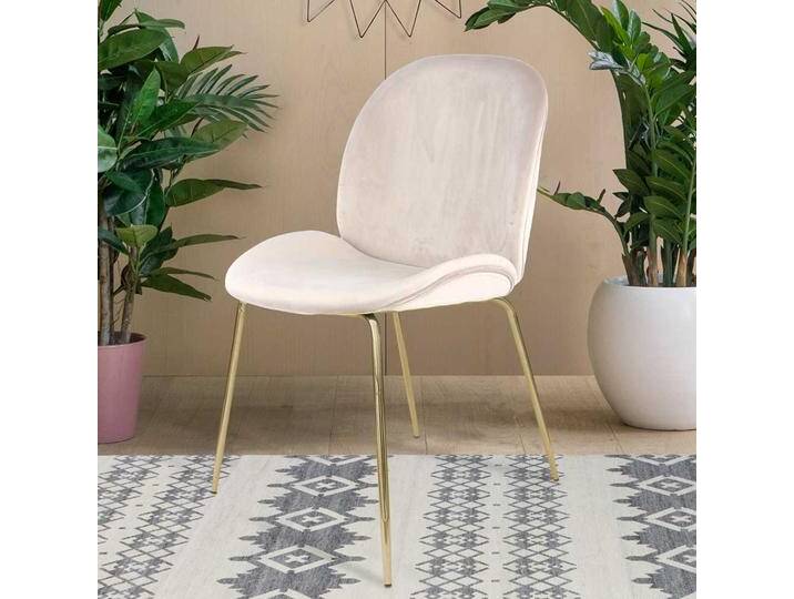 Samt Stühle in Beige Metallgestell in Messingfarben (2er Set) von Pharao24.de