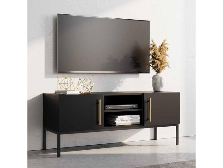 TV Board Lowboard in Schwarz mit Türen von Pharao24.de