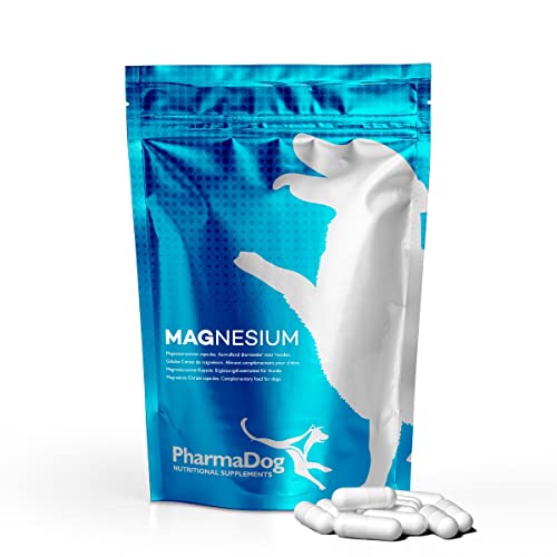 Magnesium Hund Magnesium Hund von PharmaHorse