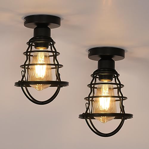 Pheashine Vintage Deckenleuchte Industrial, Retro E27 Deckenlampe Schwarz Metall, Eisen Käfig Design, Semi-flush Decken Lampenschirm für Flur Wohnzimmer Schlafzimmer Küche von Pheashine