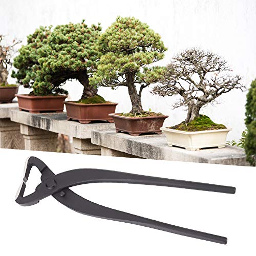Phefop Trunk Splitter Branch Cutter Bonsai Schnittwerkzeug 8.3in Stahlprofessionelle Gartenschere mit Scharfer Schneide Zum Erstellen ästhetischer Bonsai -Modelle Phefop Trunk Splitter Branch Cutter Bonsai Schnittwerkzeug 8.3in Stahlprofessionelle Gartenschere mit Scharfer Schneide Zum Erstellen ästhetischer Bonsai -Modelle von Phefop