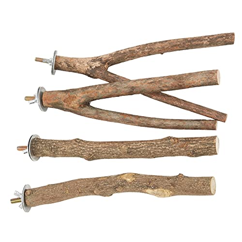 Phefop Vogelperch Stand Set, für Papageien 2 PCS Cage Barch mit Y & Stick AST, Sicheres Unbehandeltes Holz -Vogel -Fitnessspielzeug Zum Klettern, Kauen, Spielen Phefop Vogelperch Stand Set, für Papageien 2 PCS Cage Barch mit Y & Stick AST, Sicheres Unbehandeltes Holz -Vogel -Fitnessspielzeug Zum Klettern, Kauen, Spielen von Phefop