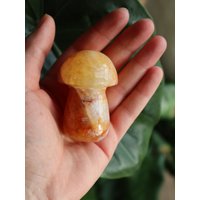 Golden Healer Pilz Hämatoid Limonit Quarz Solarplexus Kronen Chakra Edelstein Löwe Golden Healer Pilz Hämatoid Limonit Quarz Solarplexus Kronen Chakra Edelstein Löwe von Philiafull