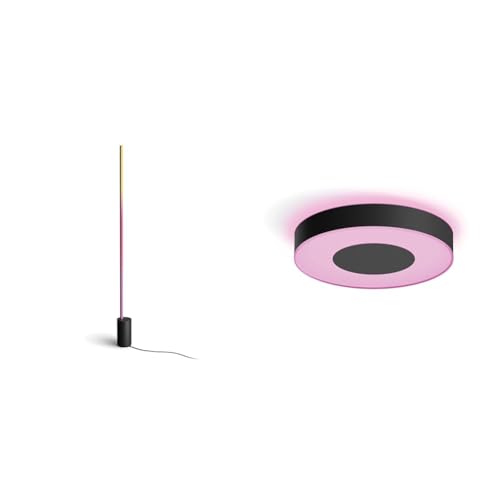 Philips Hue Gradient Signe Stehleuchte schwarz 1800lm & White & Color Ambiance Infuse Deckenleuchte L (3.700 lm) von Philips Hue
