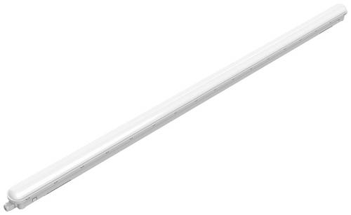 Philips LED ProjectLine Feuchtraumleuchte LED 53W Neutralweiß Weiß Philips LED ProjectLine Feuchtraumleuchte LED 53W Neutralweiß Weiß von Philips LED