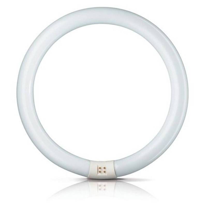 G10q 22W 865 Leuchtstoffring Master Circular TL-E von Philips