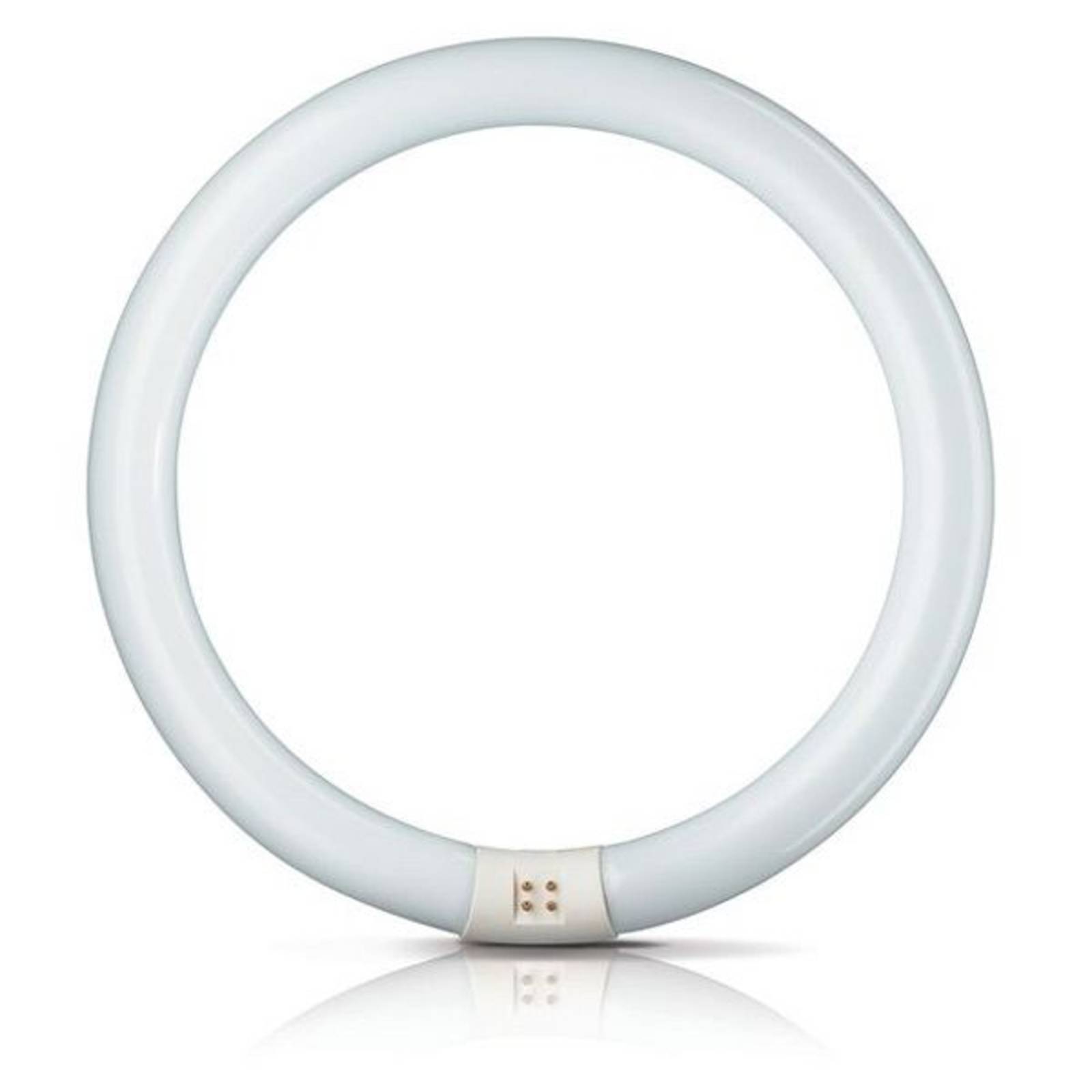 G10q 32W 830 Leuchtstoffring Master Circular TL-E von Philips