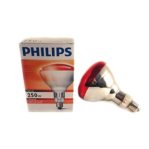 Hartglas Infrarotlampe PHILIPS - 250 W / rot von Philips