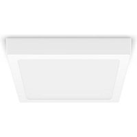 Philips - led Spot Magneos Surface Mount Eckig in Weiß 12W 1350lm - white von Philips