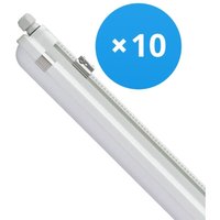 Philips - Mehrfachpackung 10x led Feuchtraumleuchte CoreLine WT120C 42.9W 6000lm - 840 Kaltweiß 150cm von Philips