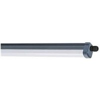 Regleta estanca 34W 3400lm 6500K 120cm 911401862184 Philips von Philips