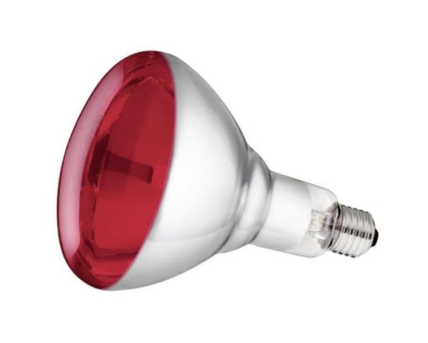 Philips Hartglas-Infrarotlampe, rot, 250 Watt, für Infrarot-Aufzuch... von Philips