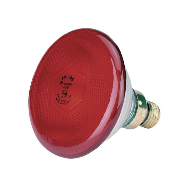 Philips Infrarot-Sparlampe, rot, 100 Watt, für Infrarot-Aufzuchtstr... von Philips
