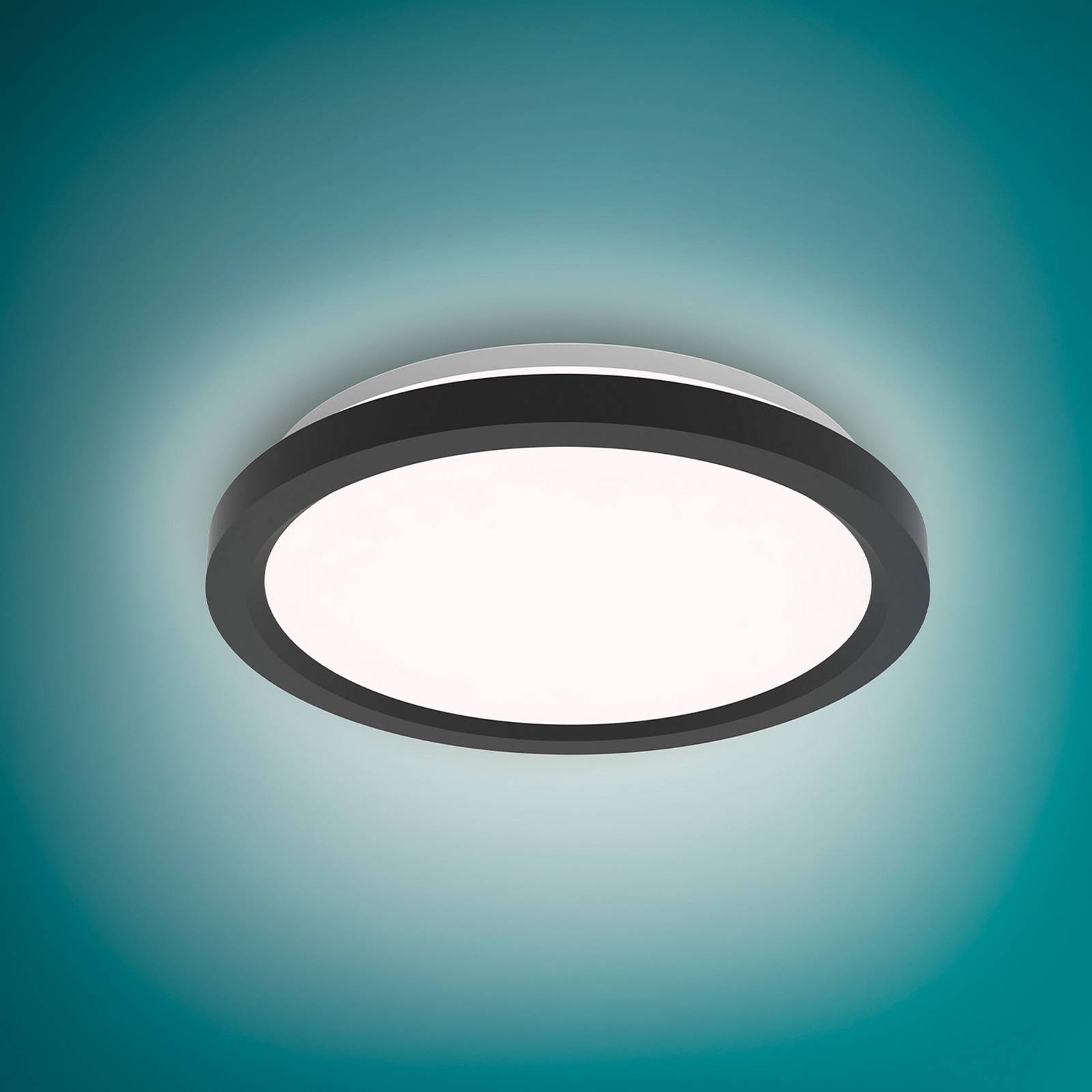 Philips LED-Deckenlampe Aio RD schwarz 2er-Pack 30 cm Remote von Philips