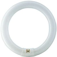 EHL - philips tl-e 22W/865 1CT/12 kühles Tageslicht, Ringlampe mit ø 213,5 mm, dimmbar von EHL