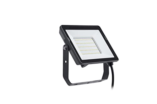 Philips ProjectLine Flutlicht, 30W, 6500K, schwarz von Philips Projectline