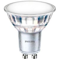 Philips - LED-Glühbirne GU10 4.9W 550 lm PAR16 CorePro spot 120° 6500K Kaltweiß von Philips