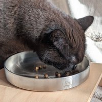Flacher Edelstahl-Futternapf | 304 Für Katzen Und Hunde - Modernes Design & Schnurrhaarfreundlich Extrabreit in 18cm von PhiniasPlace