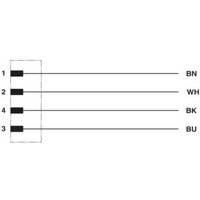 Phoenix Contact 1415543 Sensor-/Aktor-Steckverbinder, konfektioniert 3.00m Polzahl: 4 1St. von Phoenix Contact