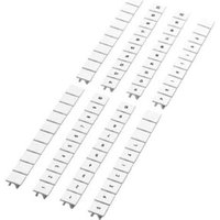 Phoenix Contact Zackband unbedruckt 10,2mm ws ZB 10:unbedruckt Phoenix Contact Zackband unbedruckt 10,2mm ws ZB 10:unbedruckt von Phoenix Contact