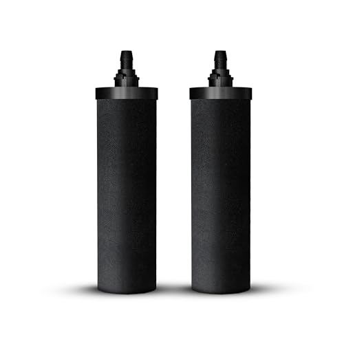 Phoenix Gravity 2er-Pack Ersatz-Kohlefilterkartuschen für schwerkraftgespeiste Edelstahl-Trinkwasserfilter, kompatibel mit Berkey Purification Phoenix Gravity 2er-Pack Ersatz-Kohlefilterkartuschen für schwerkraftgespeiste Edelstahl-Trinkwasserfilter, kompatibel mit Berkey Purification von Phoenix Gravity