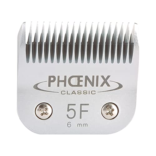 Schneidkopf Phoenix Nr. 5 F – 6 mm von Phoenix Safe